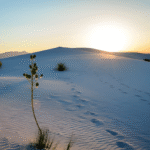 Je te conduirai au désert et je te parlerai au coeur