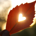 Face aux appels de Dieu : Répondre à l&rsquo;amour par l&rsquo;amour
